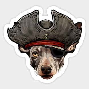 Funny Pirate Hairless Terrier Dog Sticker